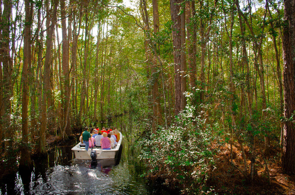 okefenokee swamp boating