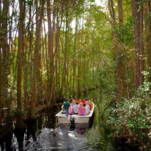 okefenokee swamp