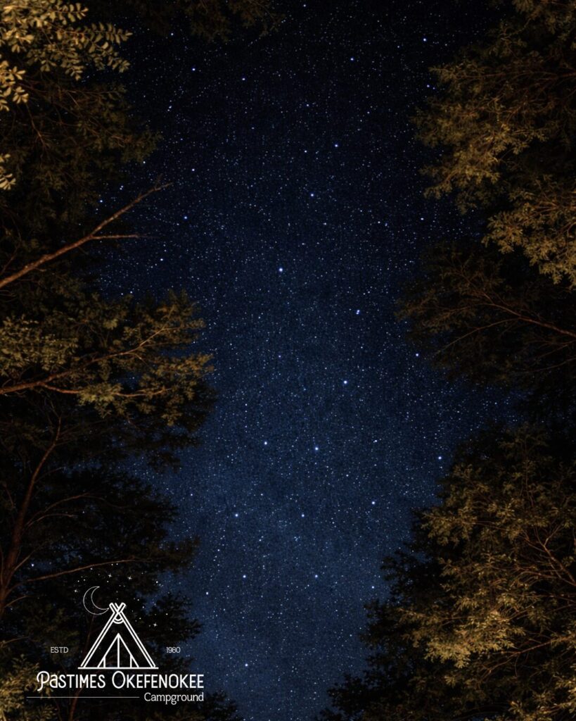 dark sky star gazing