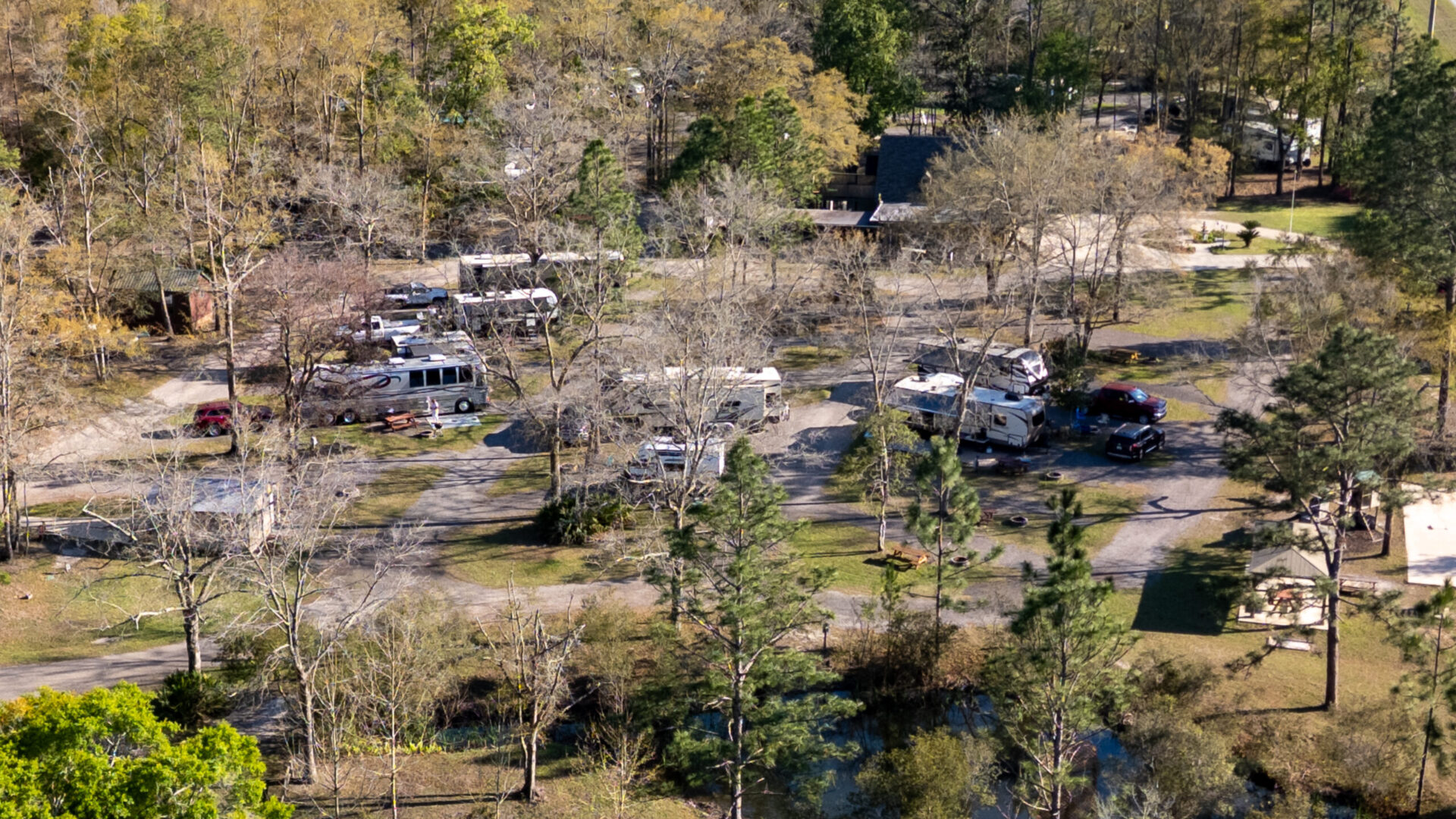 Okefenokee Pastimes - DJI_0158