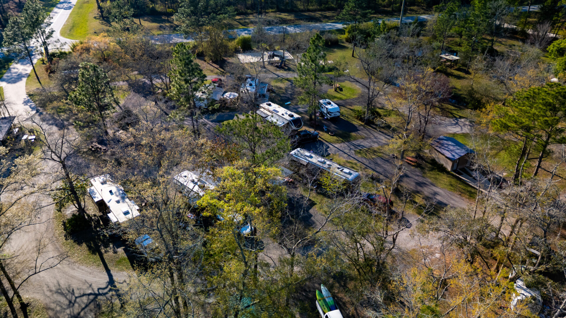 Okefenokee Pastimes - DJI_0165
