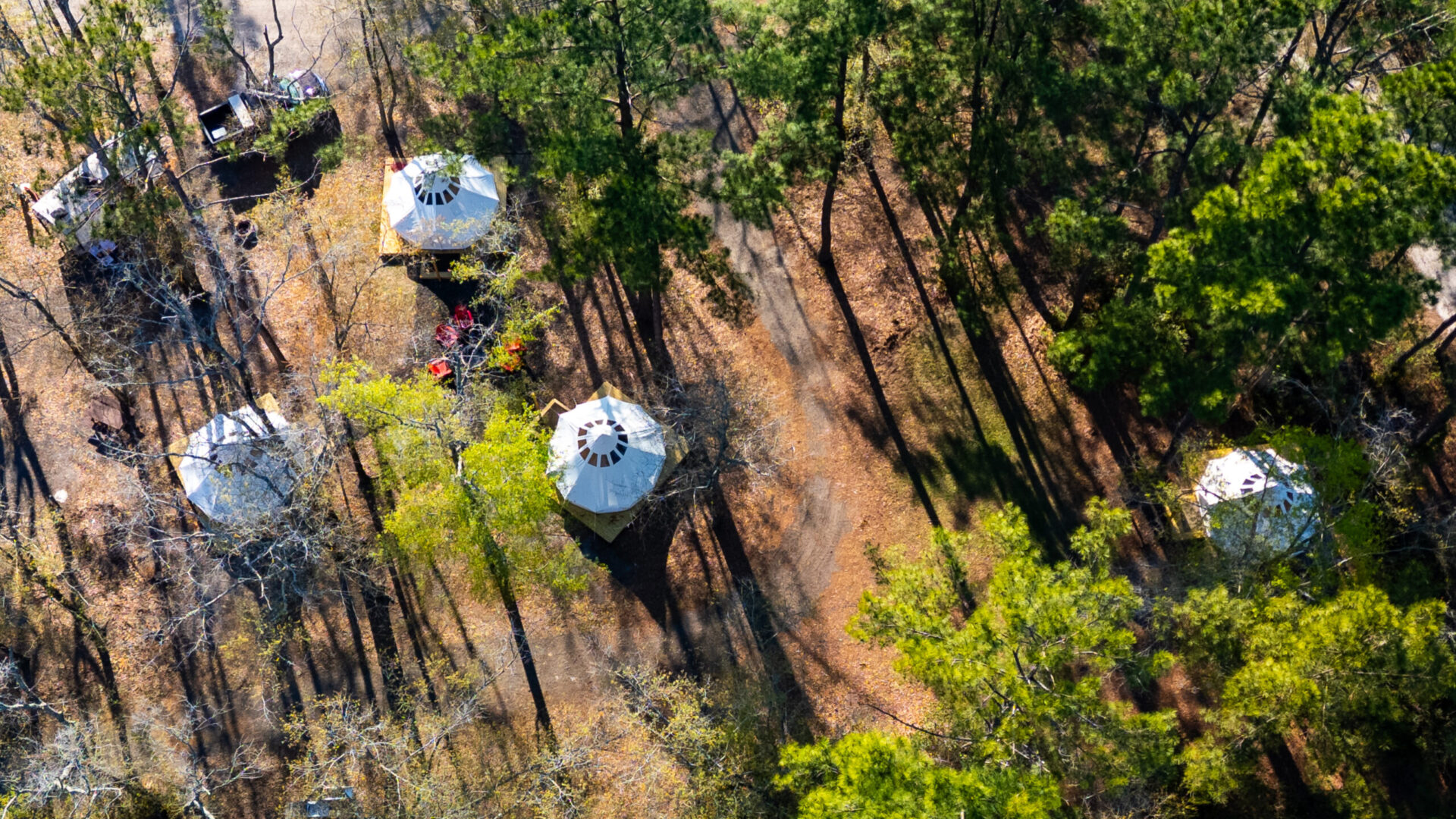 Okefenokee Pastimes - DJI_0167