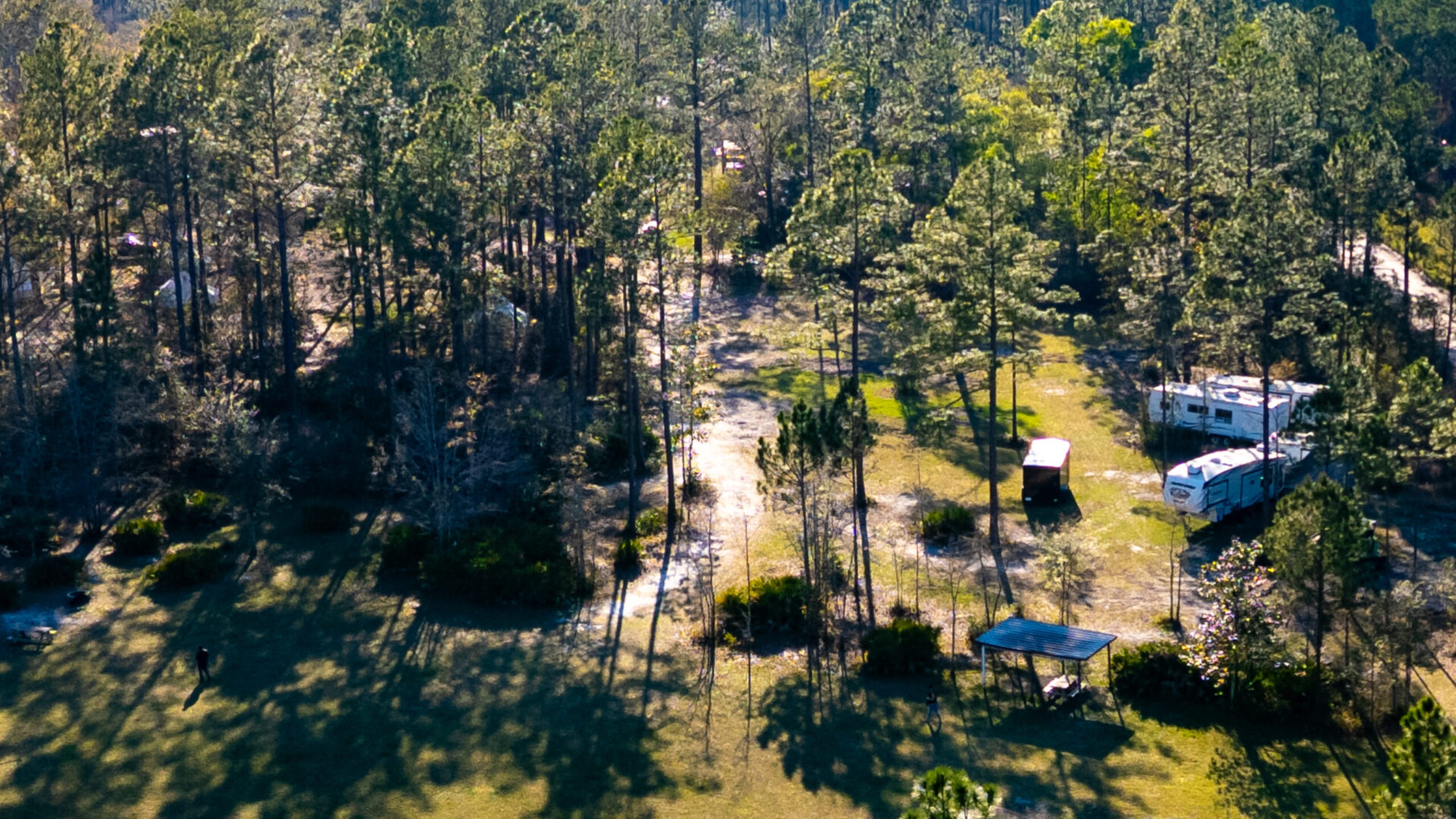Okefenokee Pastimes - DJI_0169