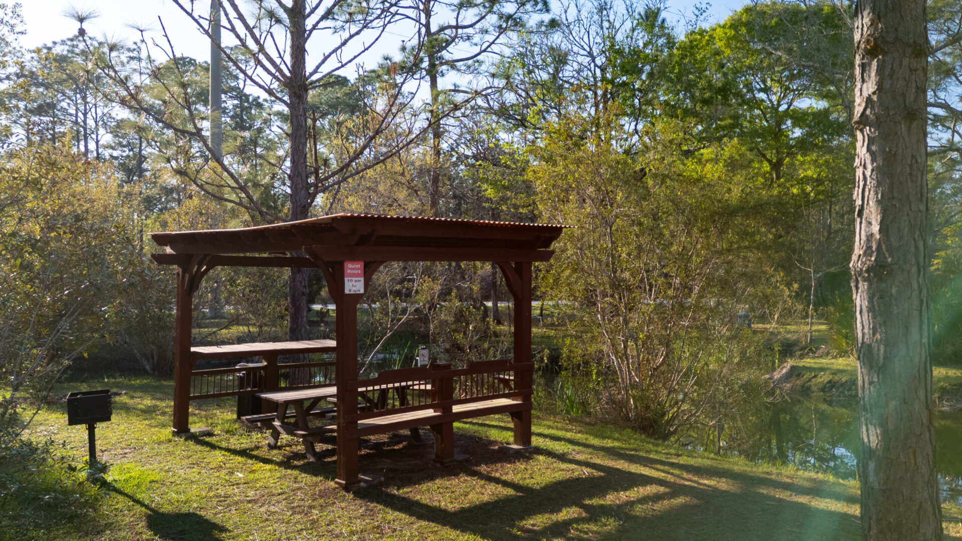 Okefenokee Pastimes - DJI_0178