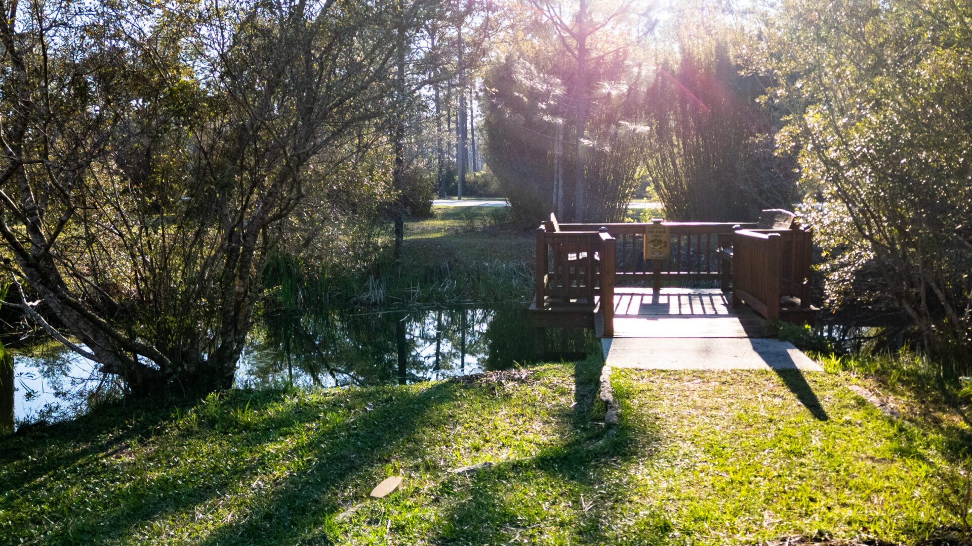 Okefenokee Pastimes - DJI_0179