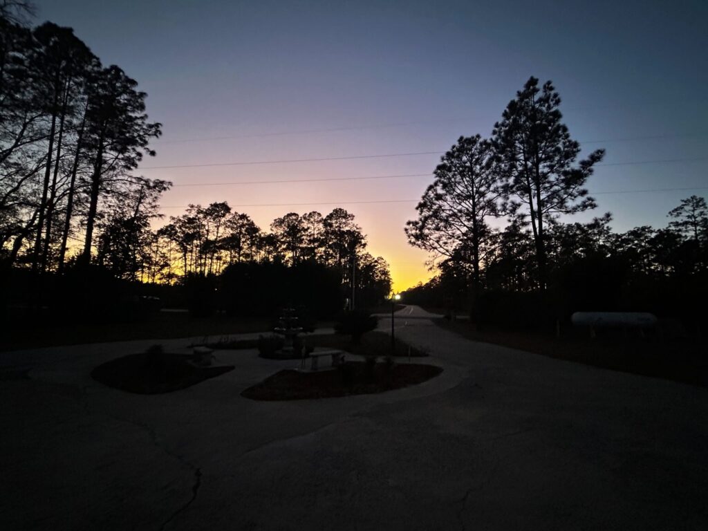 okefenokee pastimes