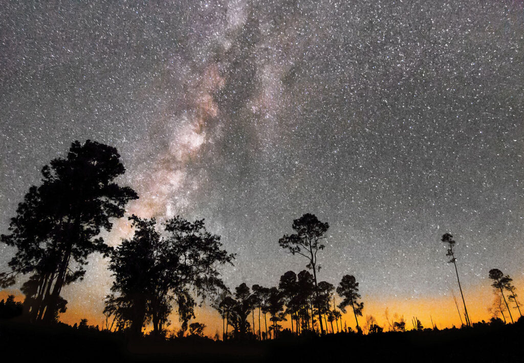dark sky star gazing